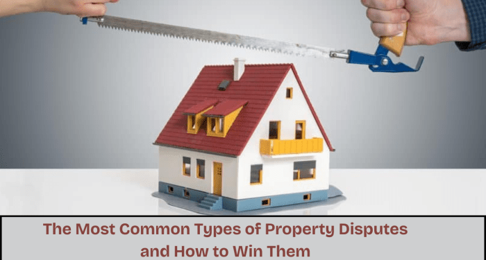 The Most Common Types Of Property Disputes And How To Win Them